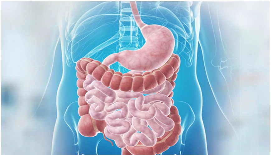 Gastroenterologia Subiaco | Visite Specialistiche | Clinica Sanatrix