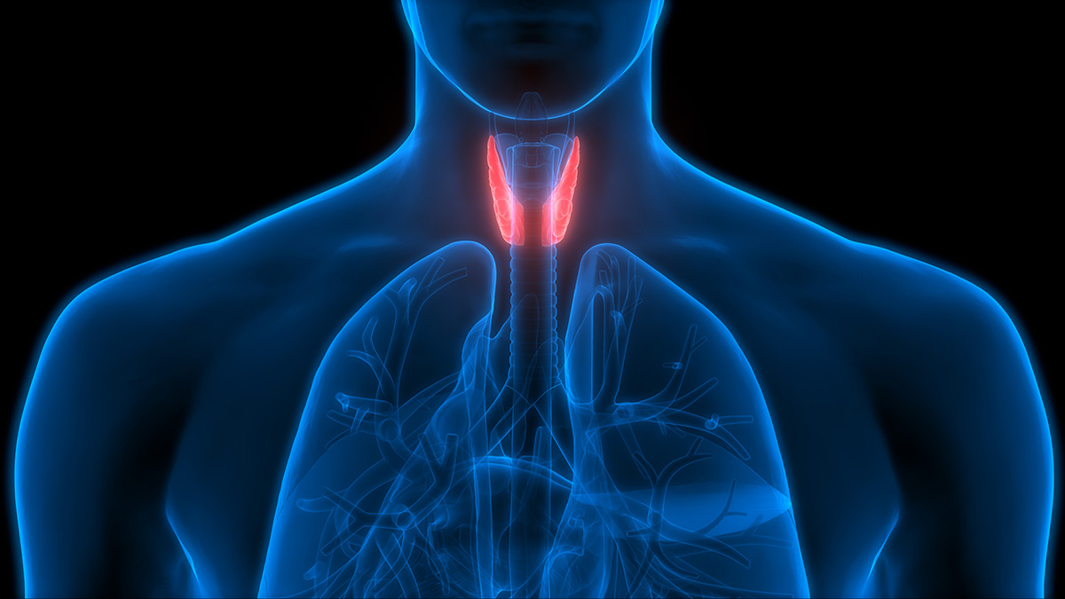 Centro di Prevenzione, Diagnosi e Cura delle Patologie Tiroidee